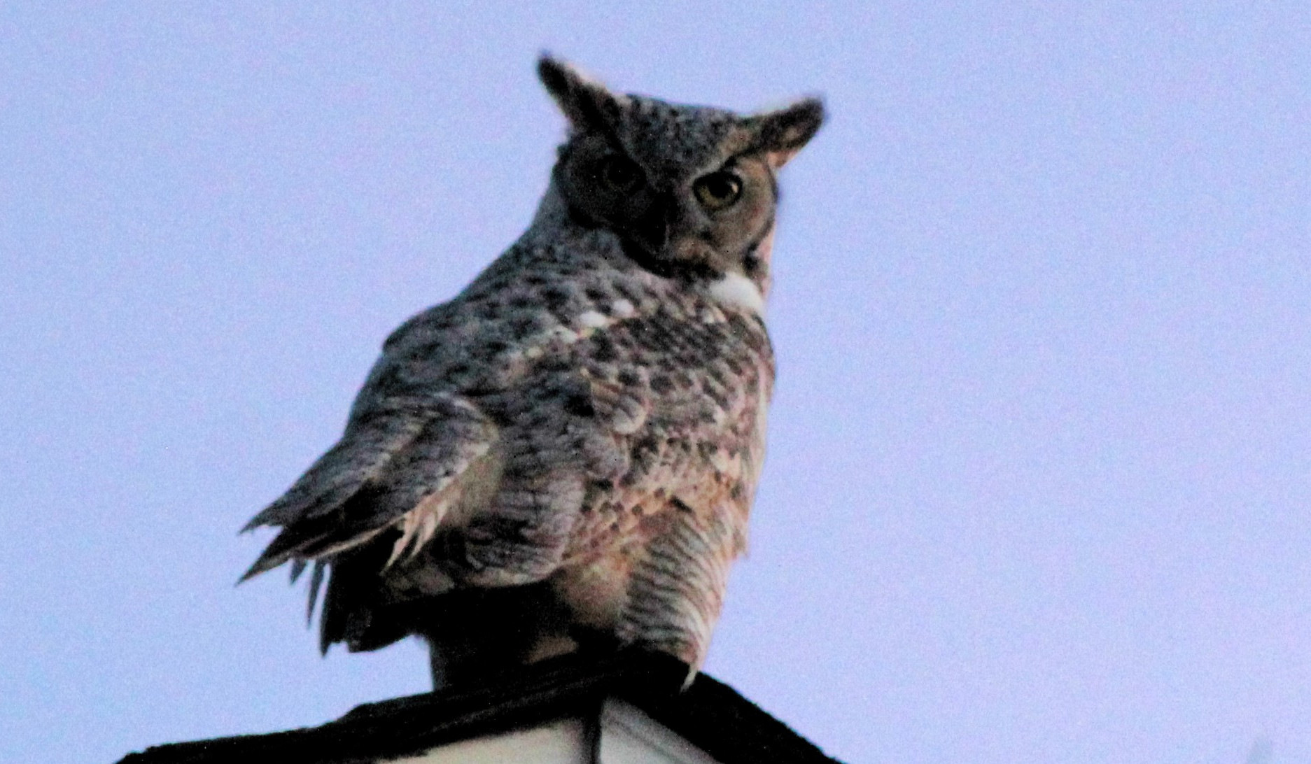 About Spinning the World in the Right direction